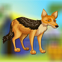 AvmGames Cute Wolf Escape Walkthrough